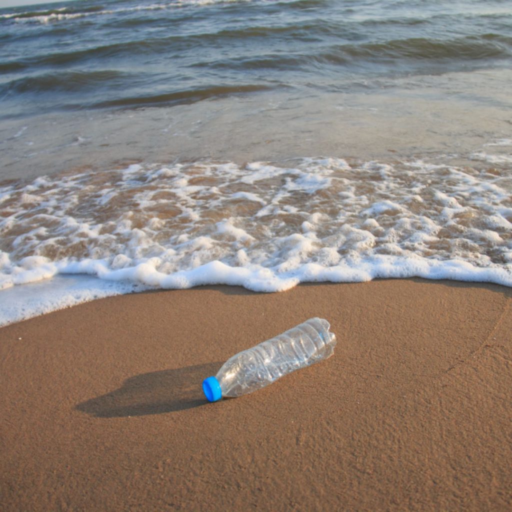 The impact of plastic water bottles