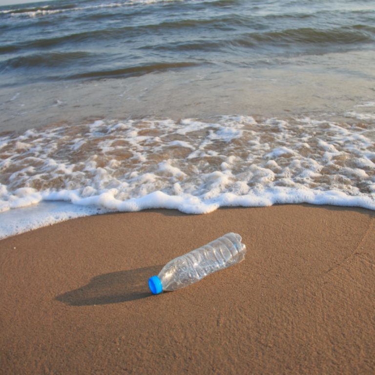 how-do-plastic-water-bottles-affect-our-environment