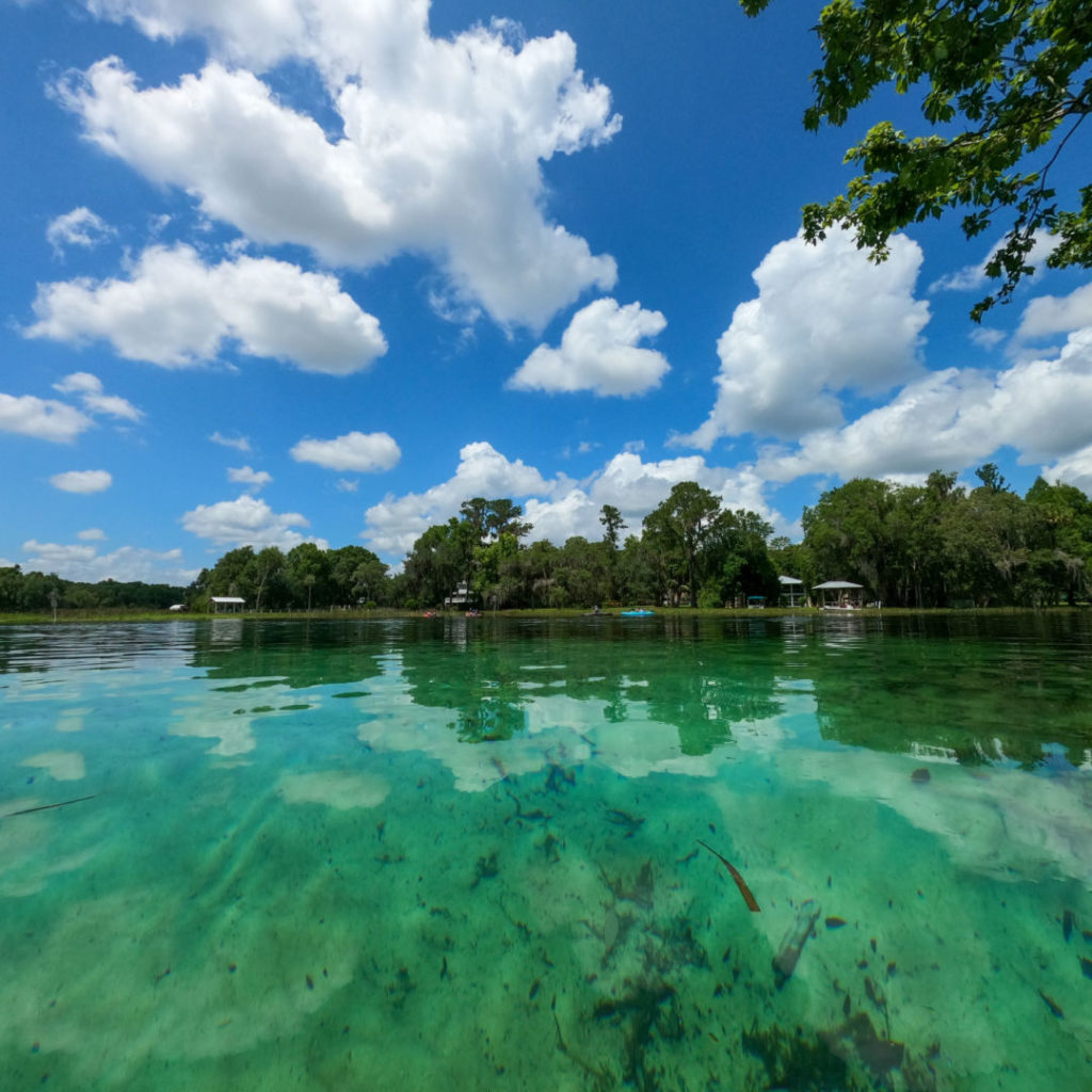 florida-s-freshwater-springs